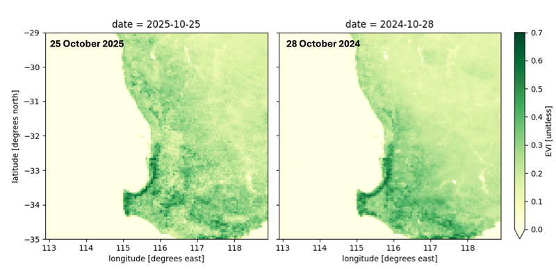 Satellite-based imagery of vegetation greenness in and around Perth